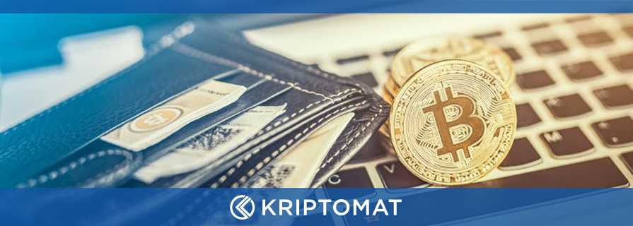 Bitcoin denarnica in denarnica za kriptovalute