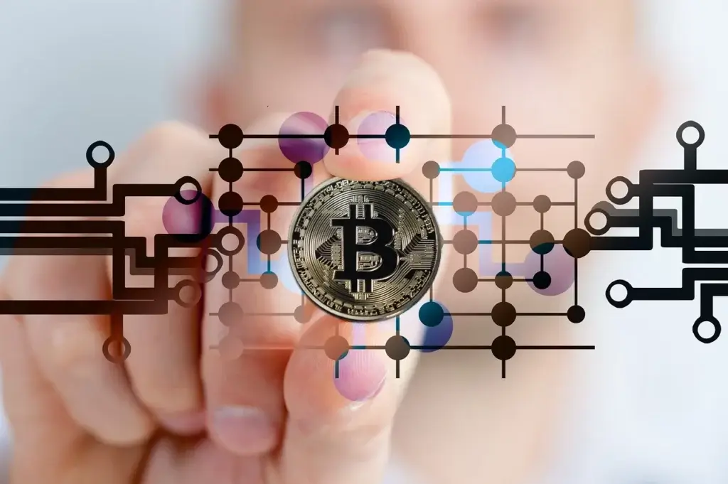 Vizualizarea instrumentului de tranzacționare pentru investitori Bitcoin