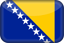 BiH flag